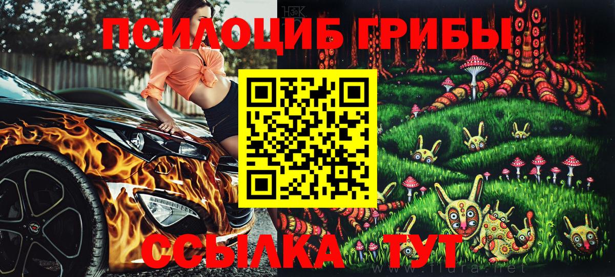 Сердобск  Псилоцибиновые грибы прущие грибы  Вход с VPN 
