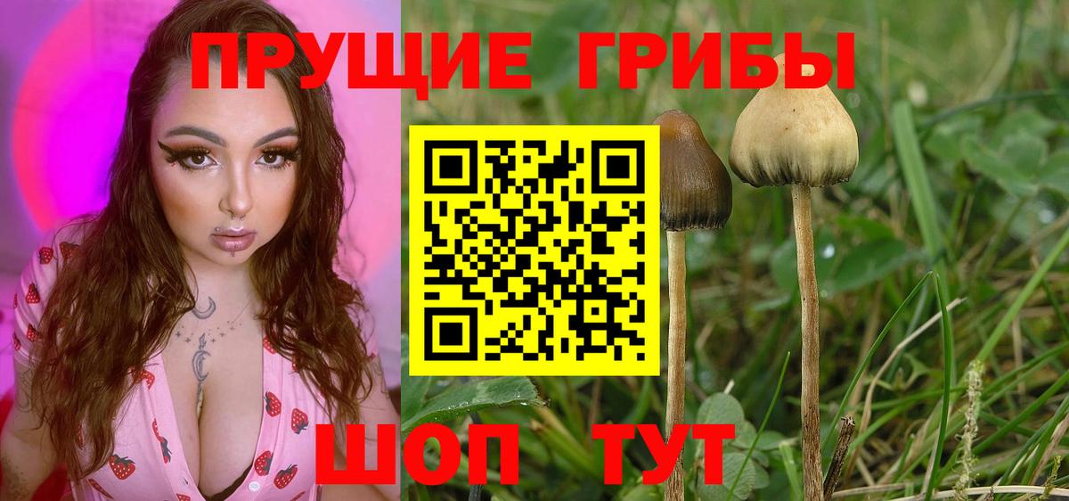Псилоцибиновые грибы ЛСД Сердобск